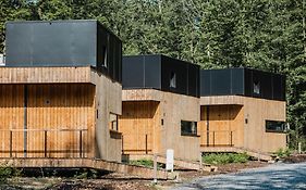 Forest Cube